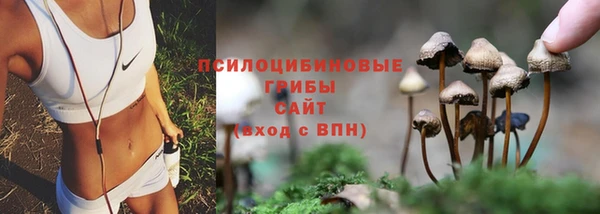 дурь Армянск
