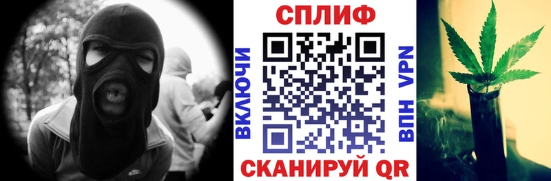 купить наркотики цена Дмитров Конопля Amnesia